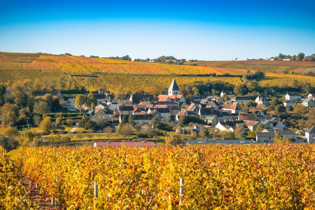 A small town in the middle of a vineyard